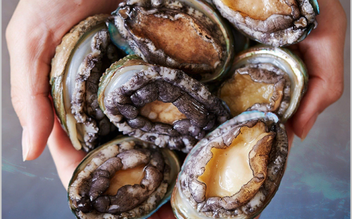 Gần 900 đường ở TP HCM đủ điều kiện 'cho thuê' vỉa hè 1