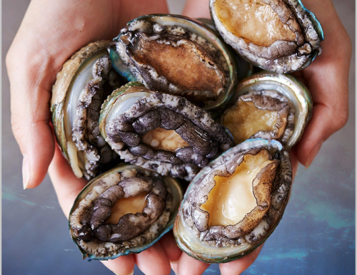 Gần 900 đường ở TP HCM đủ điều kiện 'cho thuê' vỉa hè 1